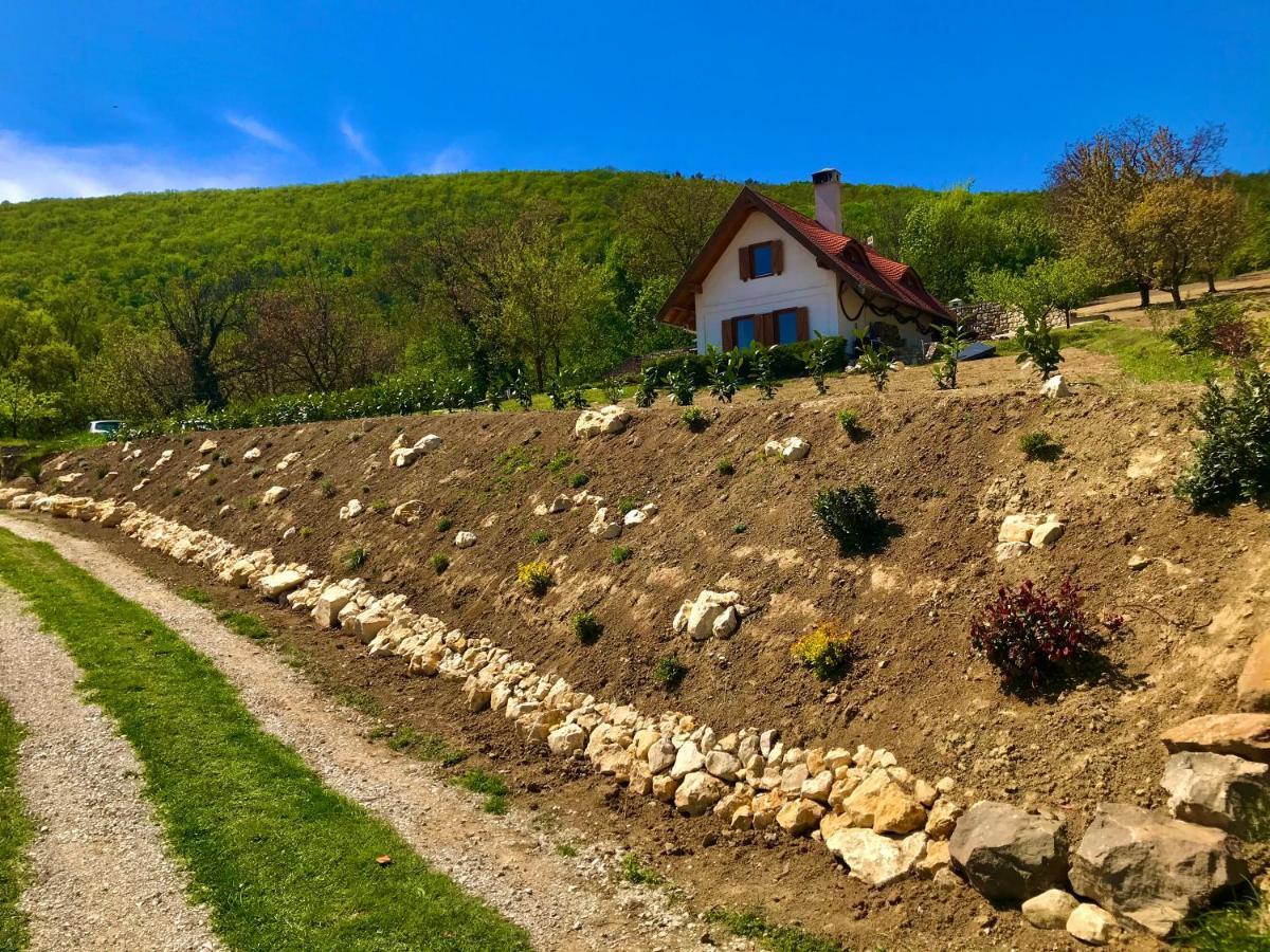 Öreghegyi Panoráma Villa, Balatonederics Kültér fotó