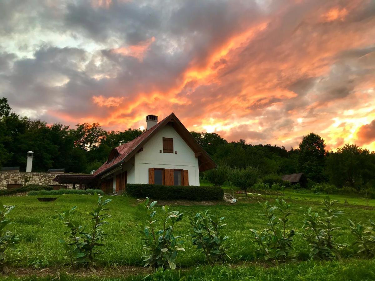 Öreghegyi Panoráma Villa, Balatonederics Kültér fotó